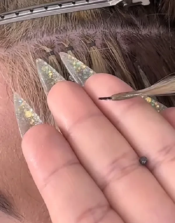 Hidden Chip
