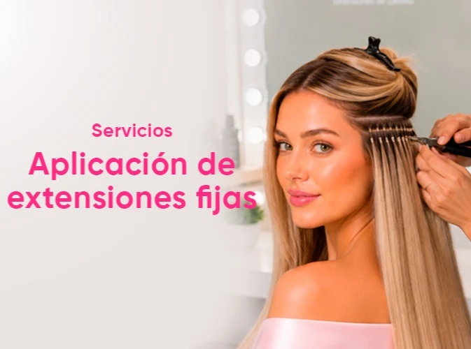 servicios aplicacion extensiones