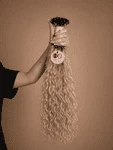 Cabello para Profesionales