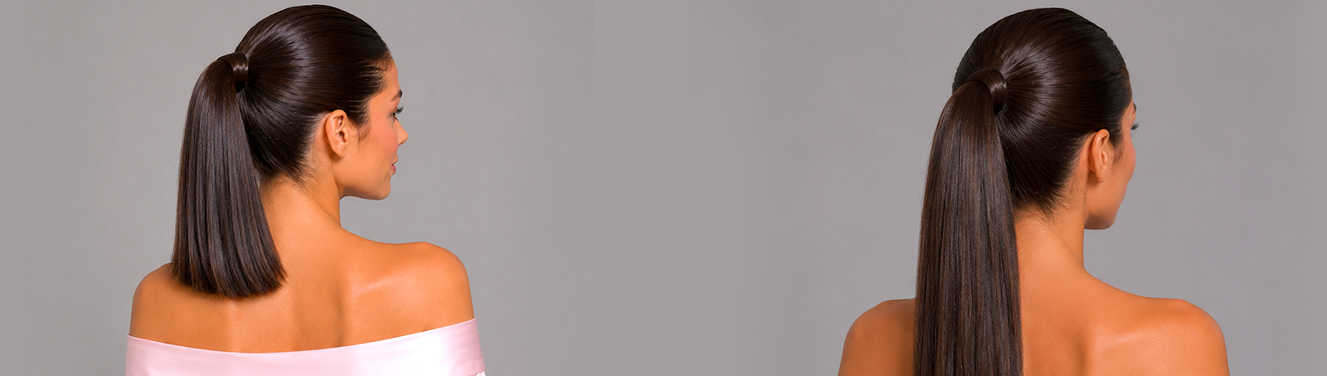 Pony Tail Background